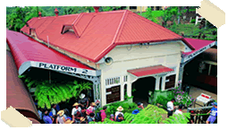 Kuranda Station