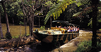 KSR Rainforest Experience Tour Package